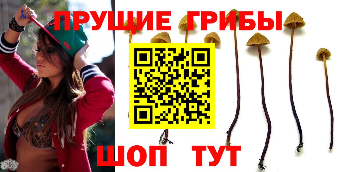 Галлюциногенные грибы Psilocybe Кыштым